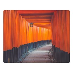 Architecture Art Bright Color Double Sided Flano Blanket (large) 