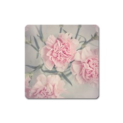 Cloves Flowers Pink Carnation Pink Square Magnet by Amaryn4rt