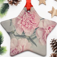 Cloves Flowers Pink Carnation Pink Star Ornament (two Sides) 