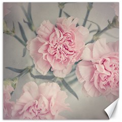 Cloves Flowers Pink Carnation Pink Canvas 12  X 12   by Amaryn4rt