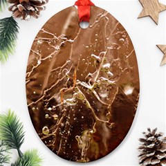 Ice Iced Structure Frozen Frost Ornament (oval)  by Amaryn4rt