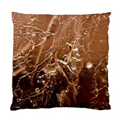 Ice Iced Structure Frozen Frost Standard Cushion Case (one Side) by Amaryn4rt