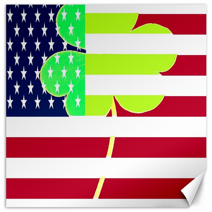 USA Ireland American Flag Shamrock Irish Funny St Patrick Country Flag  Canvas 16  x 16  