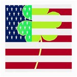 USA Ireland American Flag Shamrock Irish Funny St Patrick Country Flag  Medium Glasses Cloth Front