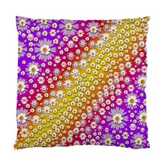 Falling Flowers From Heaven Standard Cushion Case (one Side) by pepitasart