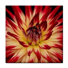 Bloom Blossom Close Up Flora Tile Coasters by Amaryn4rt