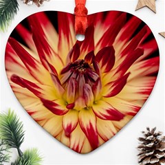 Bloom Blossom Close Up Flora Ornament (heart)  by Amaryn4rt