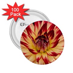 Bloom Blossom Close Up Flora 2 25  Buttons (100 Pack)  by Amaryn4rt