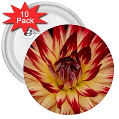 Bloom Blossom Close Up Flora 3  Buttons (10 Pack) 