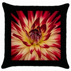 Bloom Blossom Close Up Flora Throw Pillow Case (black) by Amaryn4rt