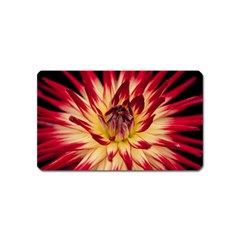 Bloom Blossom Close Up Flora Magnet (name Card) by Amaryn4rt