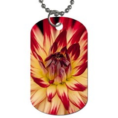 Bloom Blossom Close Up Flora Dog Tag (two Sides) by Amaryn4rt