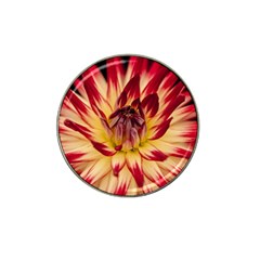 Bloom Blossom Close Up Flora Hat Clip Ball Marker by Amaryn4rt