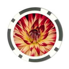 Bloom Blossom Close Up Flora Poker Chip Card Guards by Amaryn4rt