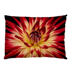 Bloom Blossom Close Up Flora Pillow Case by Amaryn4rt