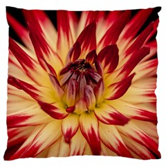 Bloom Blossom Close Up Flora Large Cushion Case (two Sides) by Amaryn4rt