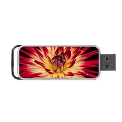 Bloom Blossom Close Up Flora Portable Usb Flash (two Sides) by Amaryn4rt