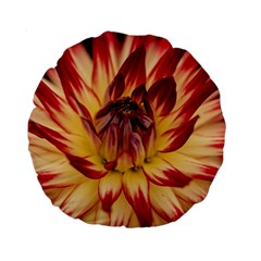 Bloom Blossom Close Up Flora Standard 15  Premium Round Cushions by Amaryn4rt