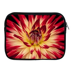 Bloom Blossom Close Up Flora Apple Ipad 2/3/4 Zipper Cases by Amaryn4rt