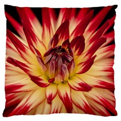 Bloom Blossom Close Up Flora Standard Flano Cushion Case (one Side) by Amaryn4rt