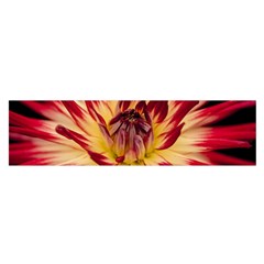 Bloom Blossom Close Up Flora Satin Scarf (oblong) by Amaryn4rt