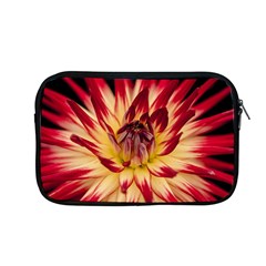 Bloom Blossom Close Up Flora Apple Macbook Pro 13  Zipper Case