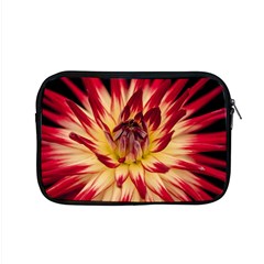 Bloom Blossom Close Up Flora Apple Macbook Pro 15  Zipper Case