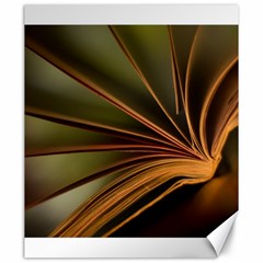 Book Screen Climate Mood Range Canvas 20  X 24   by Amaryn4rt