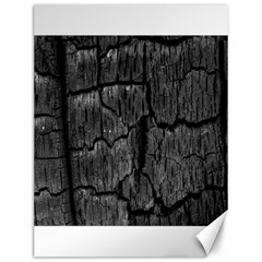 Coal Charred Tree Pore Black Canvas 12  X 16   by Amaryn4rt