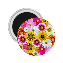 Flowers Blossom Bloom Nature Plant 2 25  Magnets by Amaryn4rt