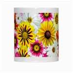 Flowers Blossom Bloom Nature Plant White Mugs Center