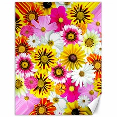 Flowers Blossom Bloom Nature Plant Canvas 18  X 24   by Amaryn4rt