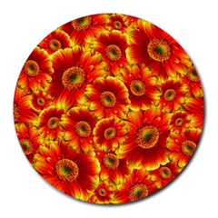 Gerbera Flowers Blossom Bloom Round Mousepads by Amaryn4rt