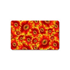 Gerbera Flowers Blossom Bloom Magnet (name Card) by Amaryn4rt