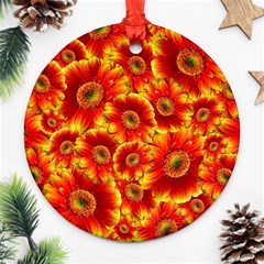 Gerbera Flowers Blossom Bloom Round Ornament (two Sides)  by Amaryn4rt