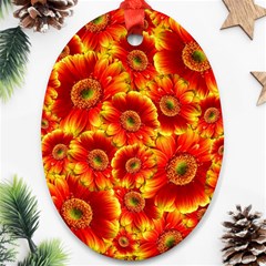 Gerbera Flowers Blossom Bloom Oval Ornament (two Sides) by Amaryn4rt