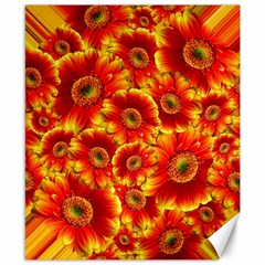 Gerbera Flowers Blossom Bloom Canvas 8  X 10  by Amaryn4rt