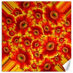 Gerbera Flowers Blossom Bloom Canvas 20  X 20   by Amaryn4rt