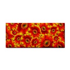 Gerbera Flowers Blossom Bloom Cosmetic Storage Cases by Amaryn4rt