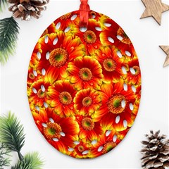 Gerbera Flowers Blossom Bloom Ornament (oval Filigree)  by Amaryn4rt