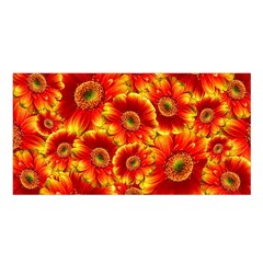 Gerbera Flowers Blossom Bloom Satin Shawl by Amaryn4rt