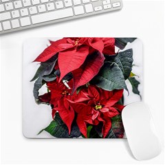 Star Of Bethlehem Star Red Large Mousepads by Amaryn4rt