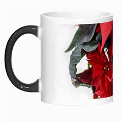 Star Of Bethlehem Star Red Morph Mugs by Amaryn4rt