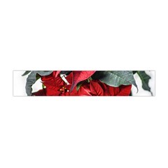 Star Of Bethlehem Star Red Flano Scarf (mini)