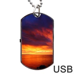 Sunset The Pacific Ocean Evening Dog Tag Usb Flash (two Sides)  by Amaryn4rt