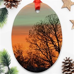 Twilight Sunset Sky Evening Clouds Oval Ornament (two Sides) by Amaryn4rt