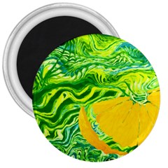 Zitro Abstract Sour Texture Food 3  Magnets by Amaryn4rt