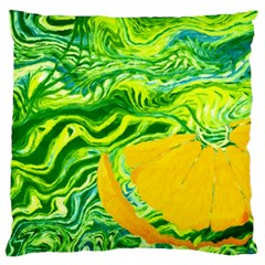 Zitro Abstract Sour Texture Food Standard Flano Cushion Case (one Side) by Amaryn4rt