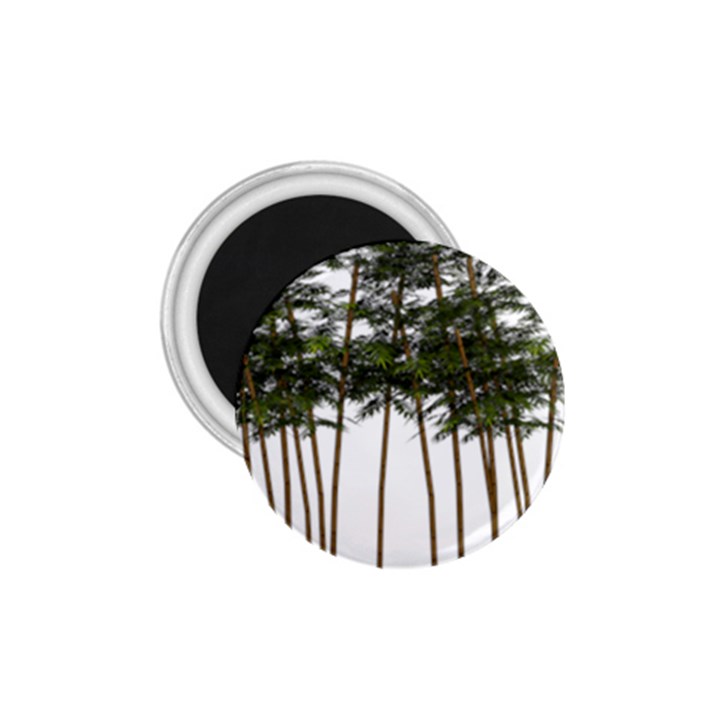 Bamboo Plant Wellness Digital Art 1.75  Magnets