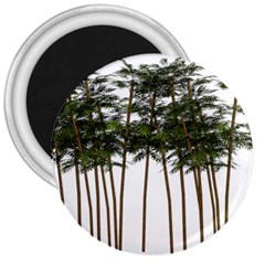 Bamboo Plant Wellness Digital Art 3  Magnets by Amaryn4rt